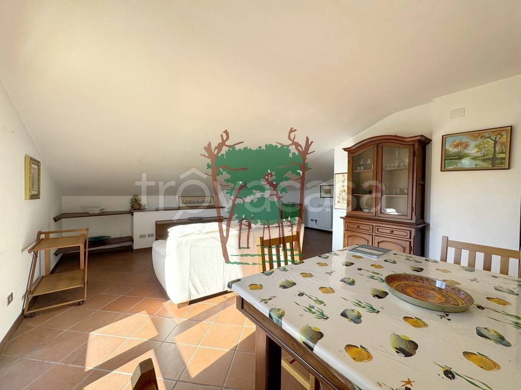 immagine annuncio 6 di 14