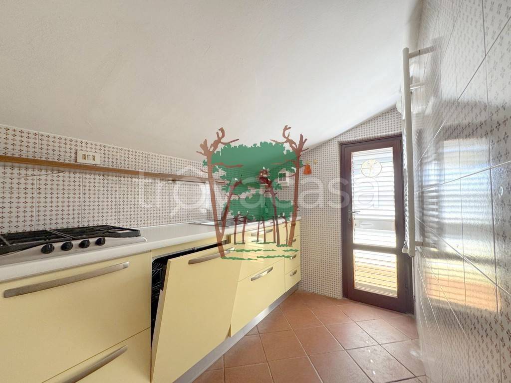 immagine annuncio 7 di 14