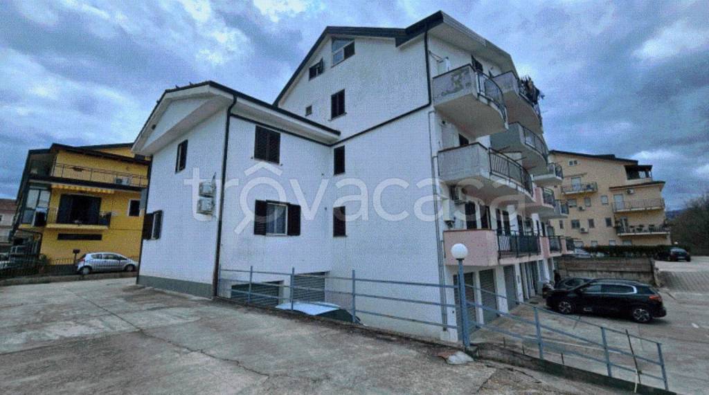 immagine annuncio 9 di 13