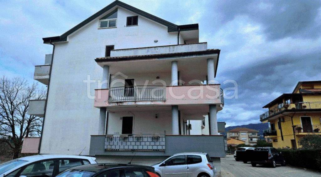 immagine annuncio 11 di 13