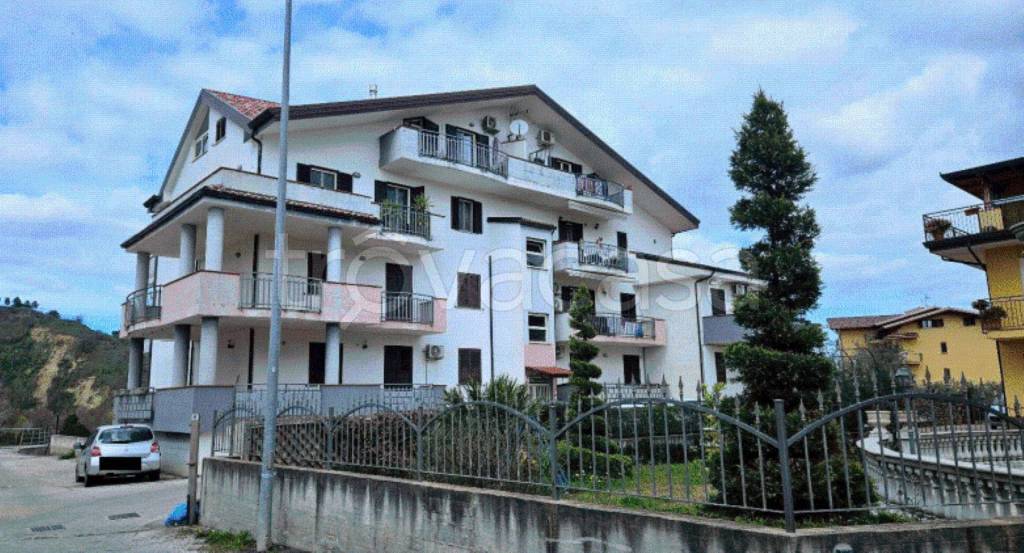 immagine annuncio 12 di 13