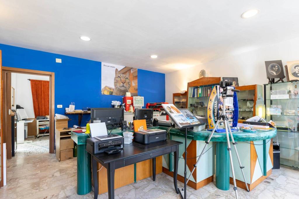 immagine annuncio 1 di 12