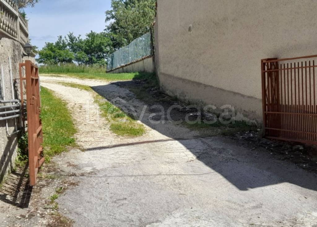 immagine annuncio 8 di 11