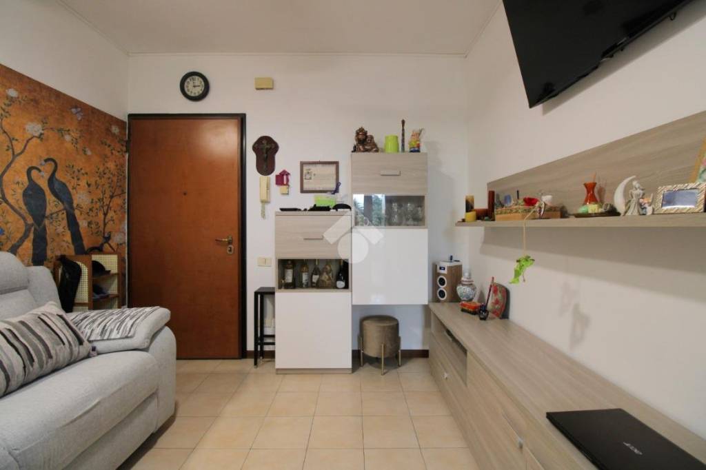 immagine annuncio 2 di 14