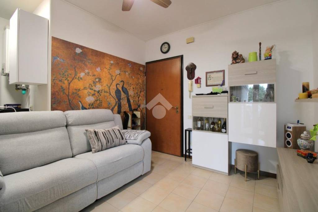 immagine annuncio 4 di 14