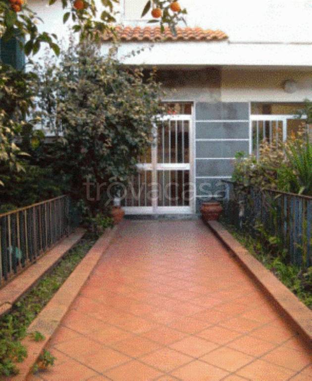 immagine annuncio 7 di 12