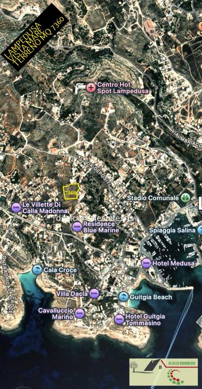 immagine annuncio 11 di 15