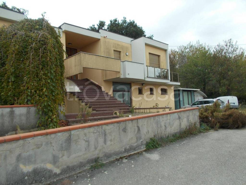 immagine annuncio 2 di 12