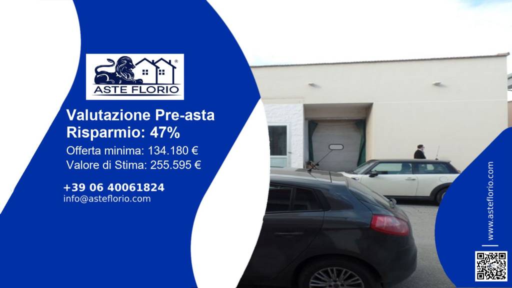 immagine annuncio 1 di 12