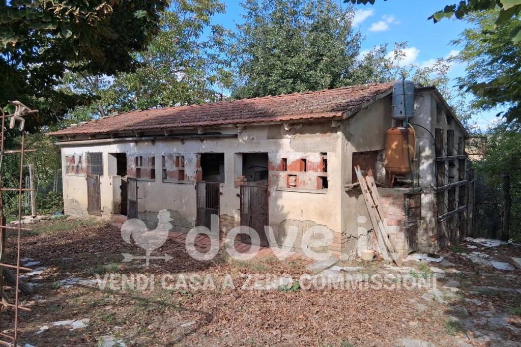 immagine annuncio 3 di 12