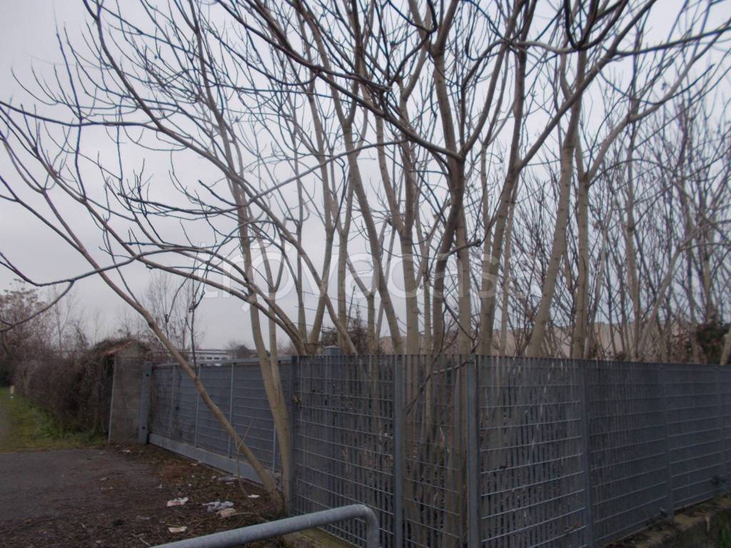 immagine annuncio 1 di 9