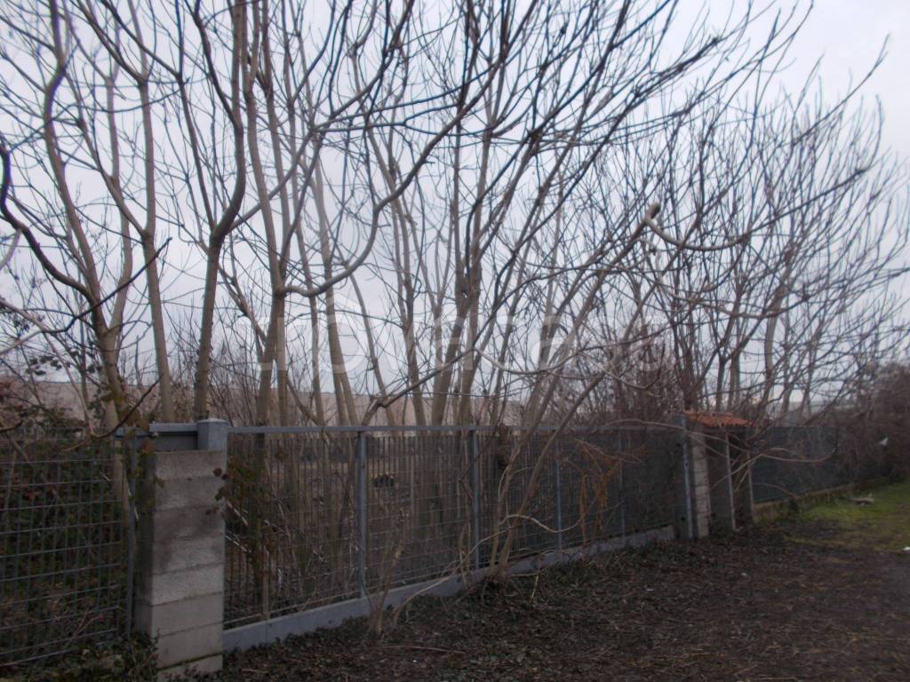 immagine annuncio 4 di 9