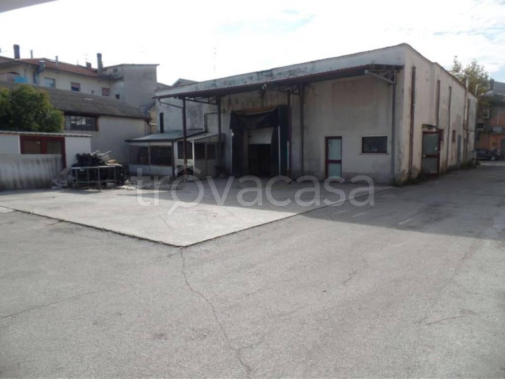 immagine annuncio 4 di 11