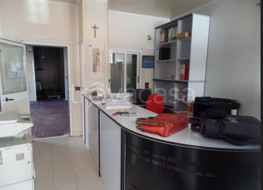 immagine annuncio 8 di 11