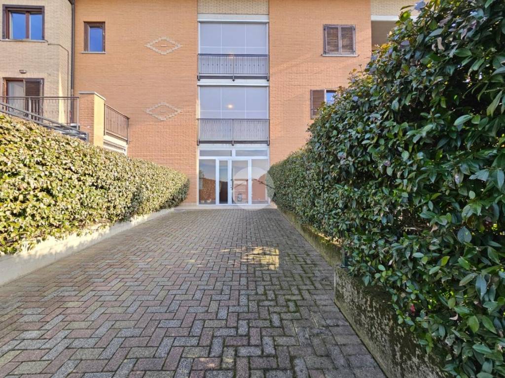 immagine annuncio 12 di 13