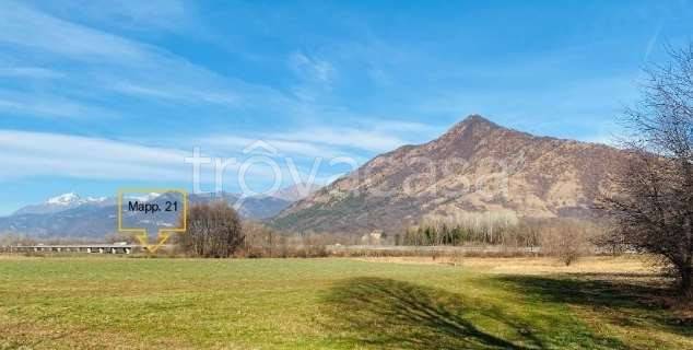 immagine annuncio 2 di 11