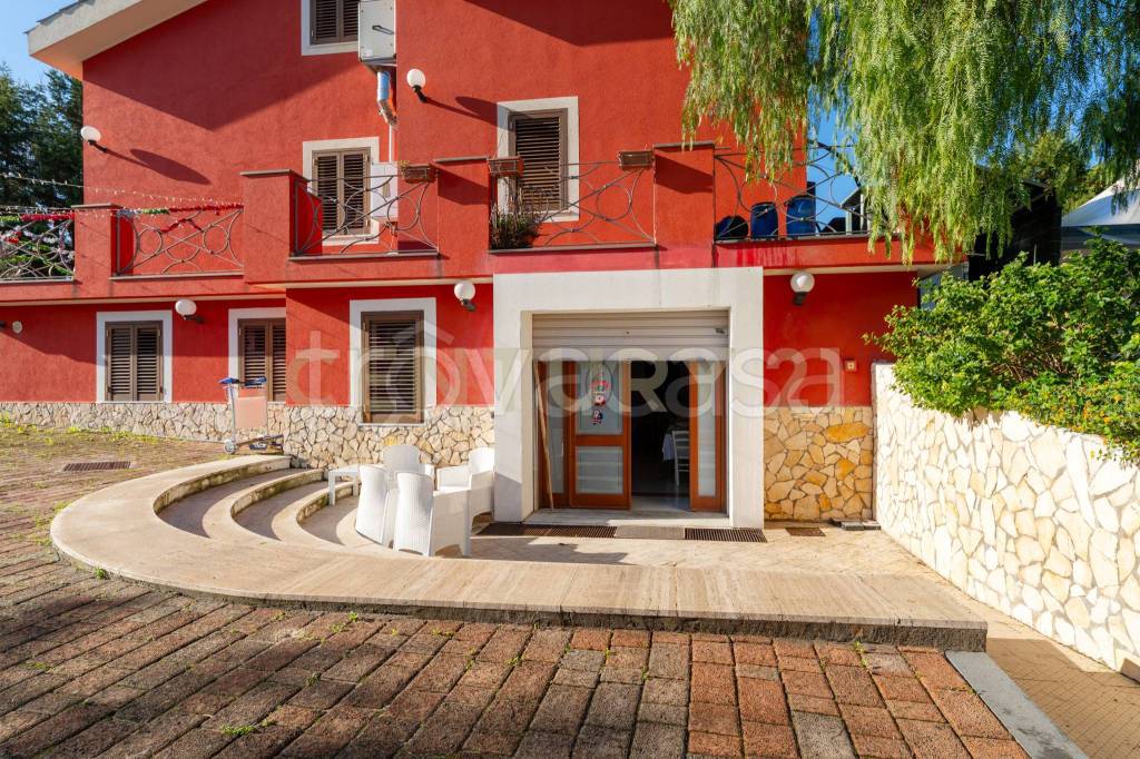 immagine annuncio 11 di 15