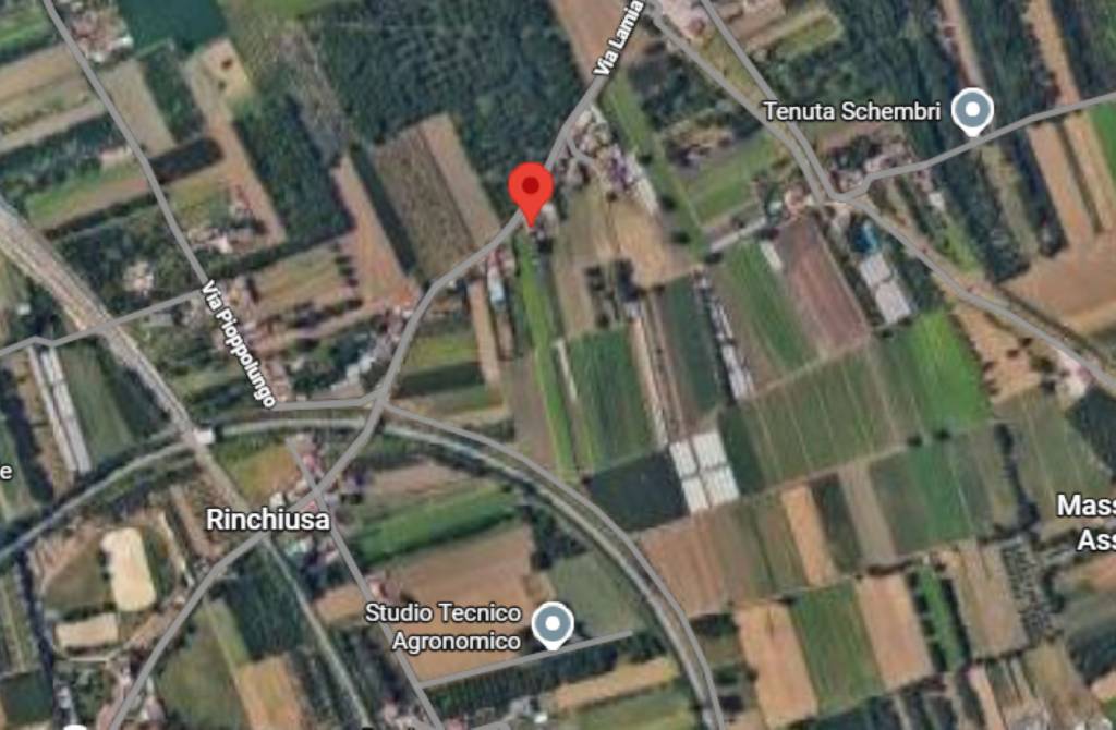 immagine annuncio 3 di 11