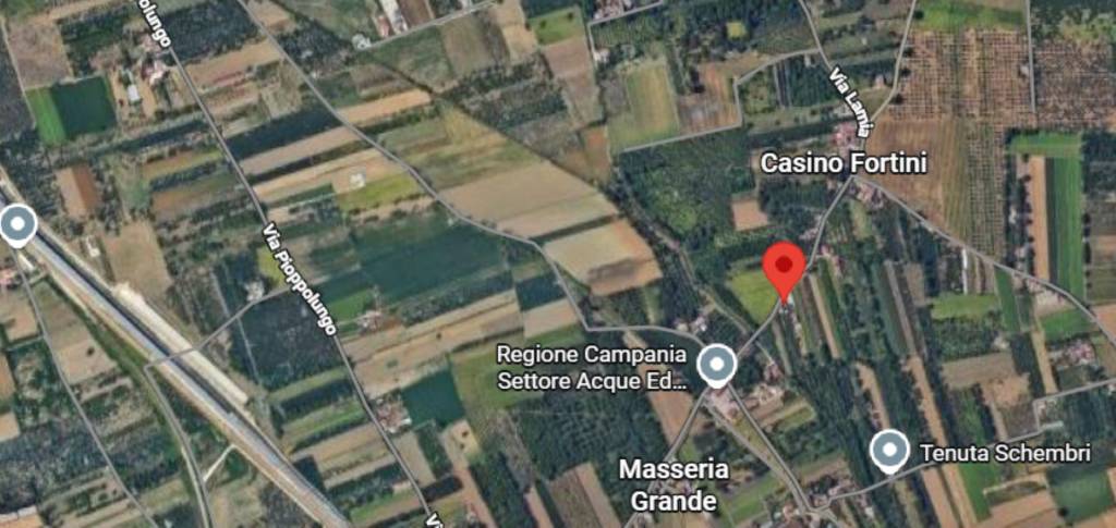 immagine annuncio 3 di 11