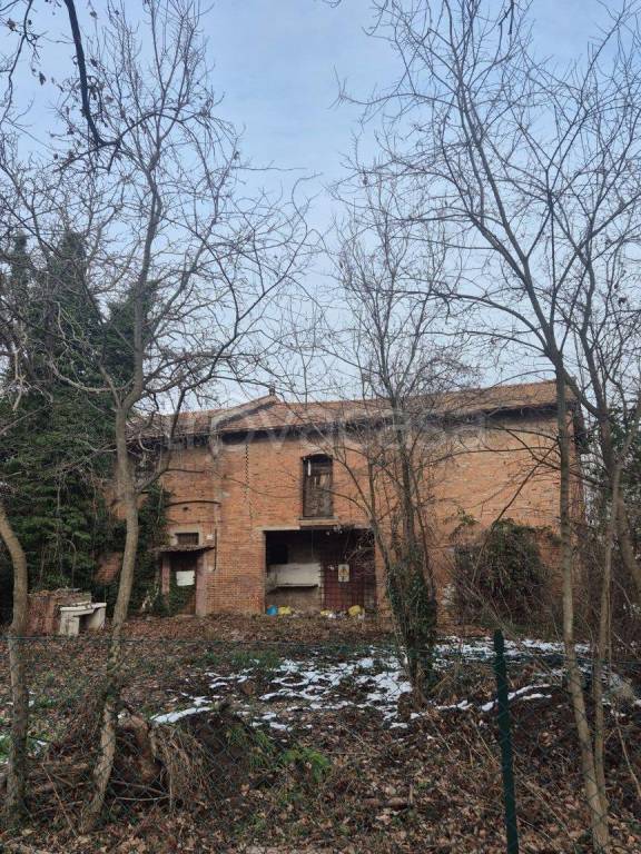 immagine annuncio 3 di 11