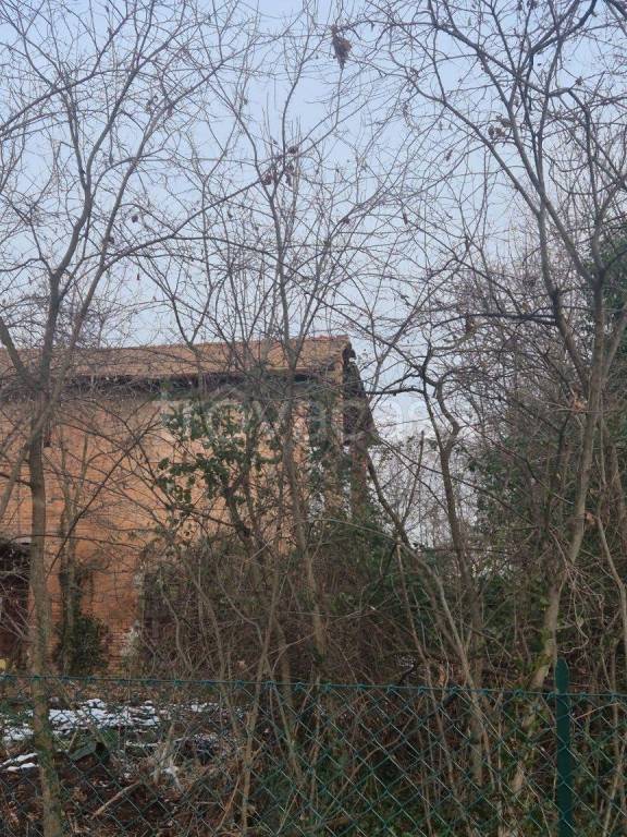 immagine annuncio 4 di 11