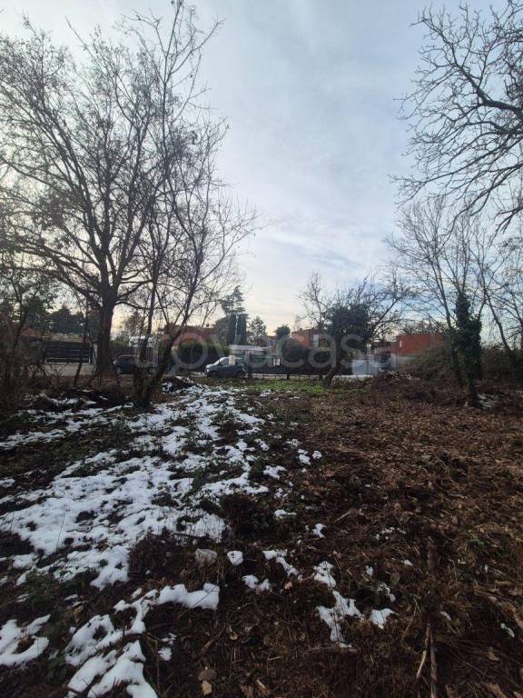 immagine annuncio 8 di 11