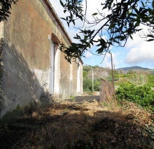 immagine annuncio 5 di 6