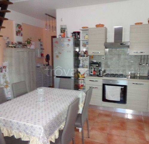 immagine annuncio 1 di 14