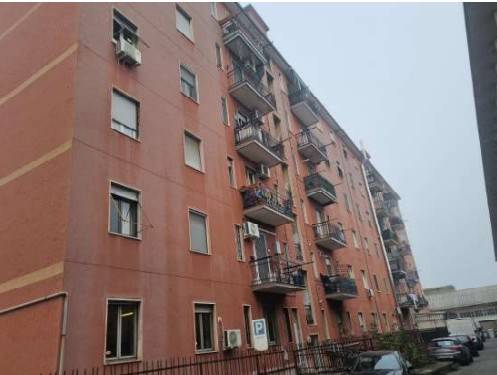 immagine annuncio 3 di 13