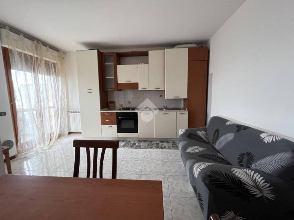 immagine annuncio 1 di 14