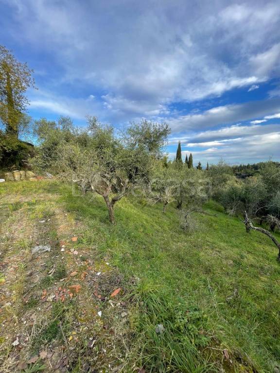 immagine annuncio 1 di 6