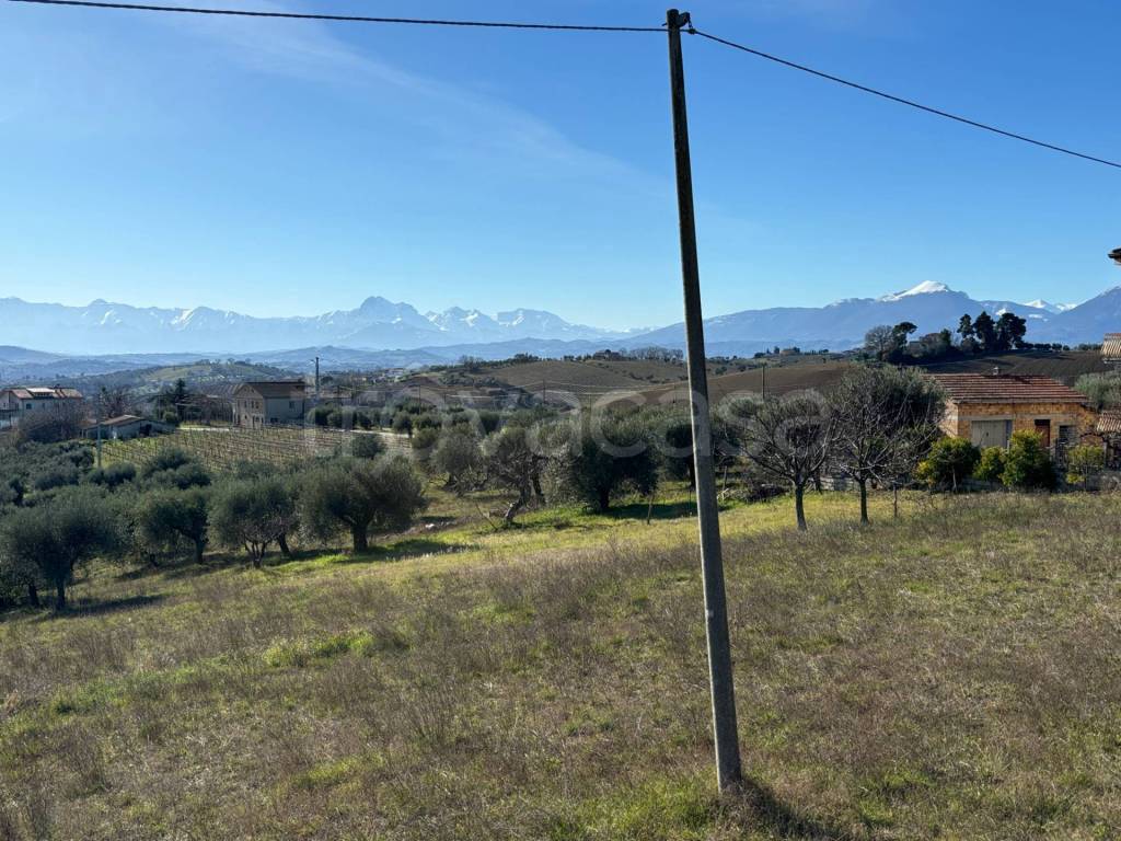 immagine annuncio 3 di 7