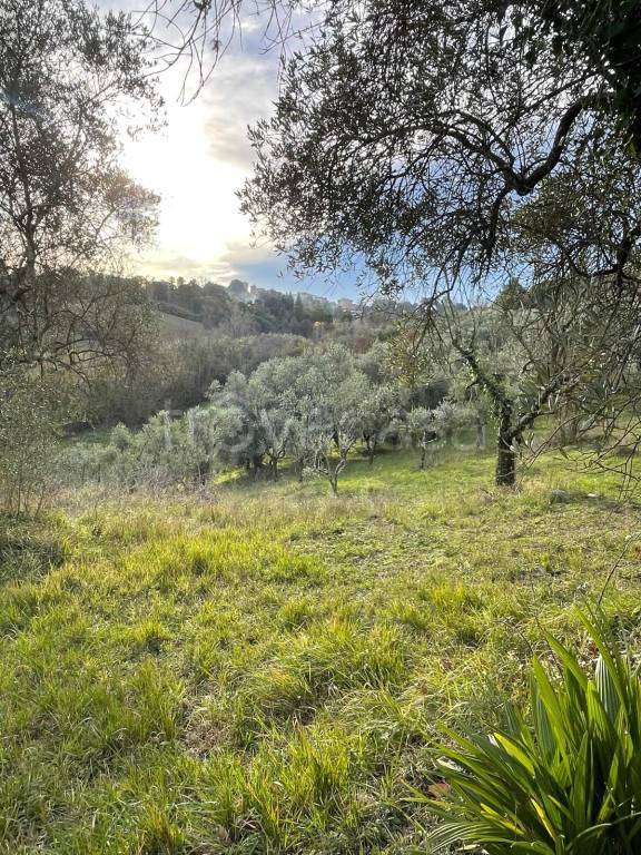 immagine annuncio 4 di 6