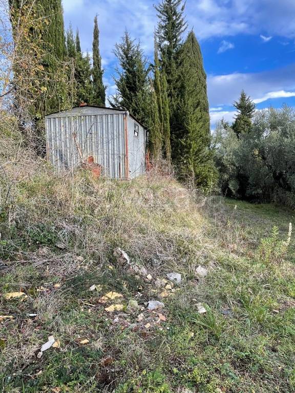 immagine annuncio 5 di 6