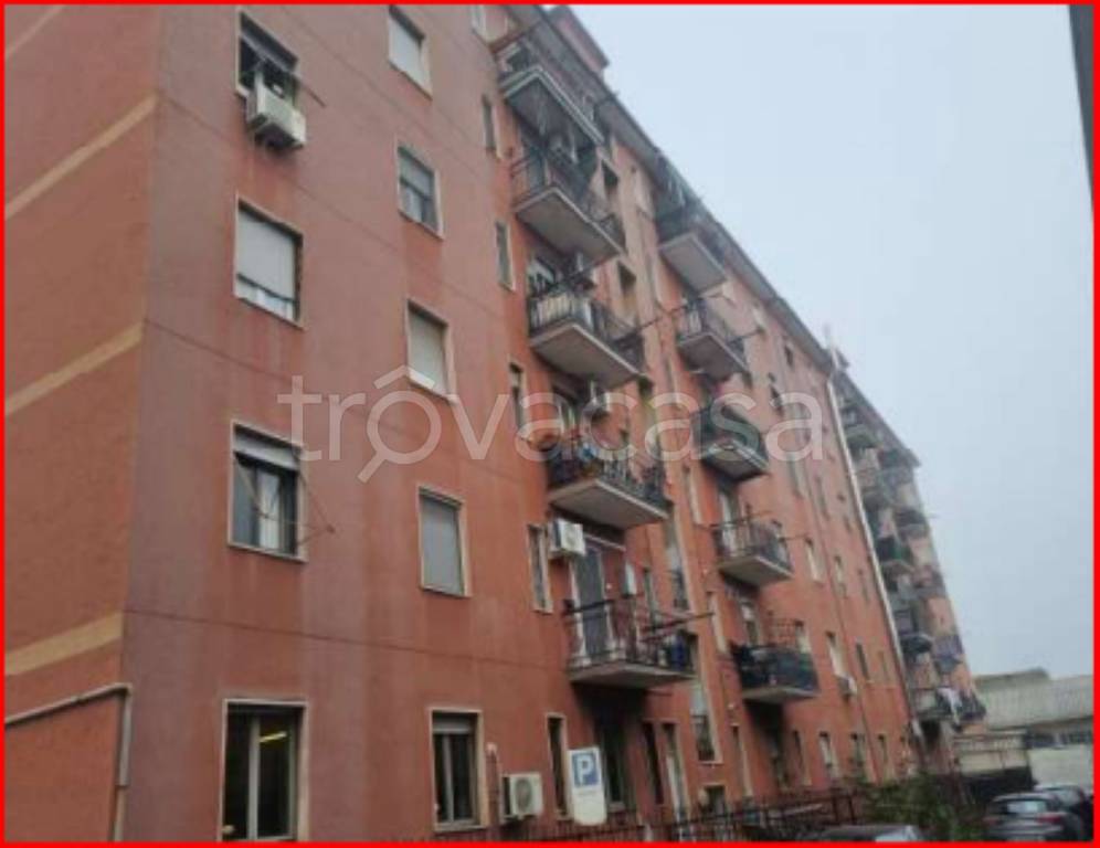 immagine annuncio 2 di 12