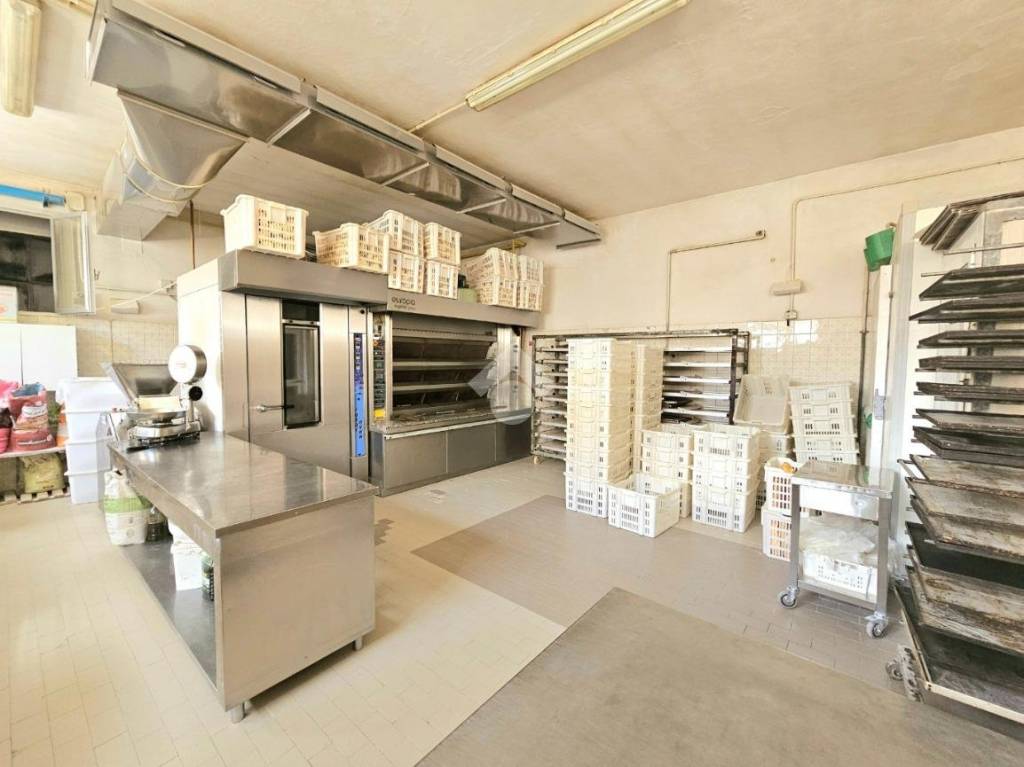 immagine annuncio 3 di 10