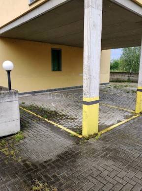 immagine annuncio 2 di 6