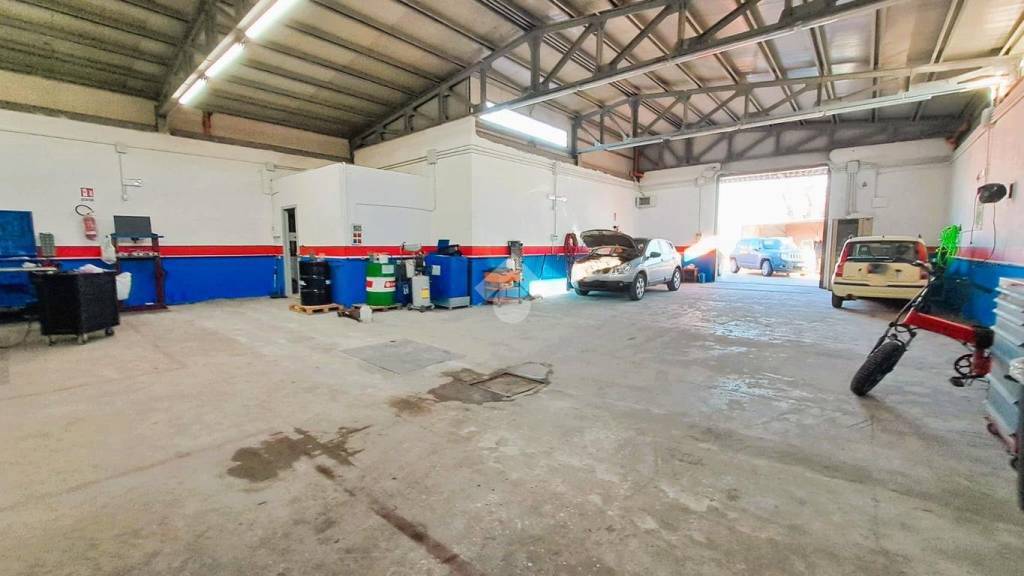 immagine annuncio 5 di 13