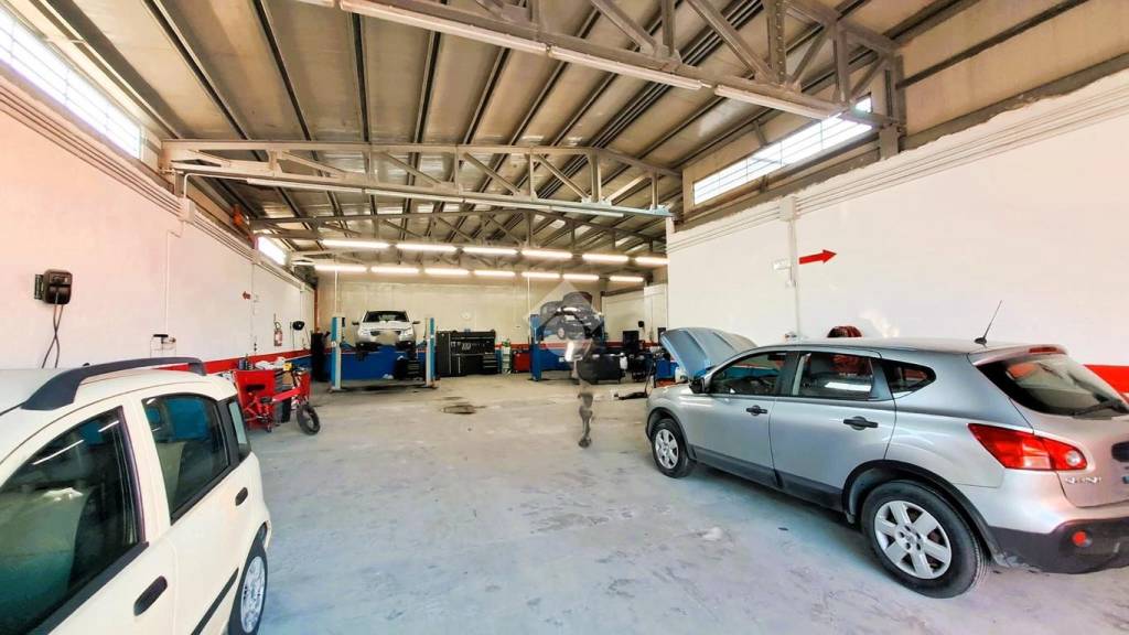 immagine annuncio 6 di 13