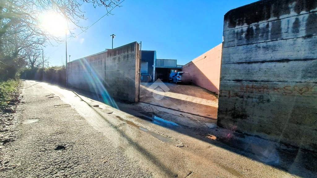 immagine annuncio 8 di 13