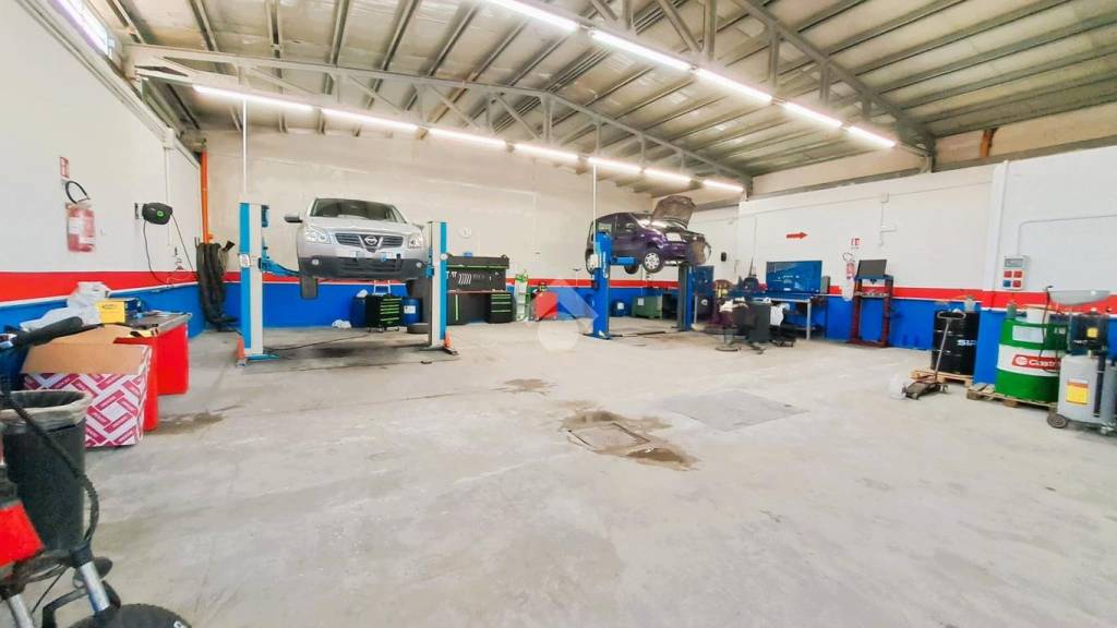 immagine annuncio 9 di 13