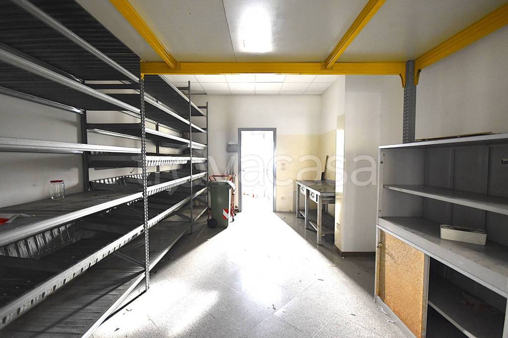 immagine annuncio 7 di 12