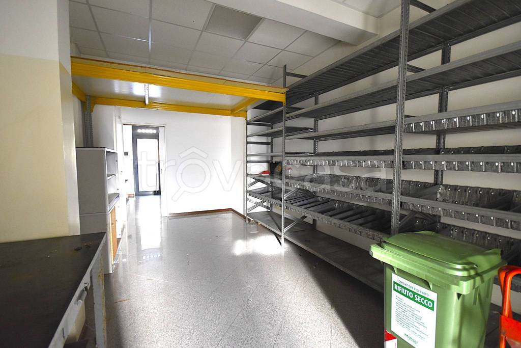 immagine annuncio 9 di 12