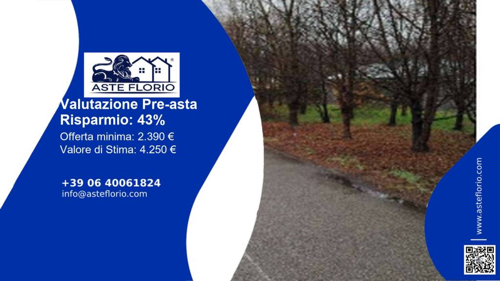 immagine annuncio 2 di 13