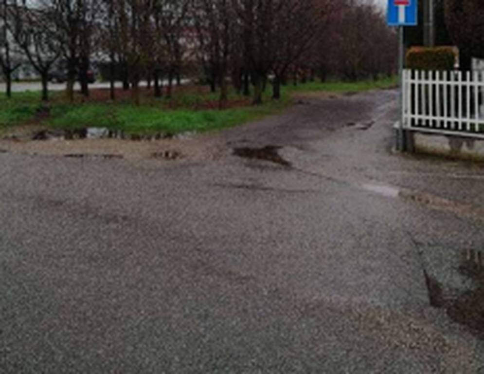 immagine annuncio 6 di 11