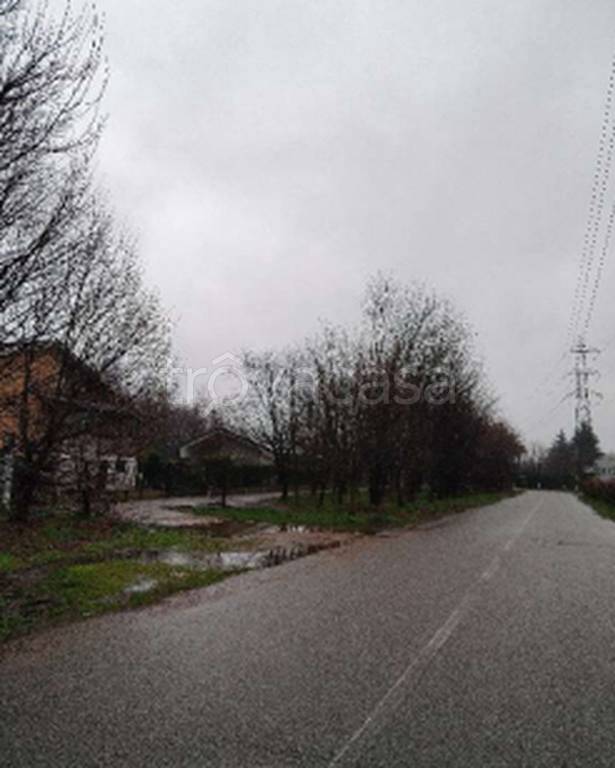 immagine annuncio 7 di 11