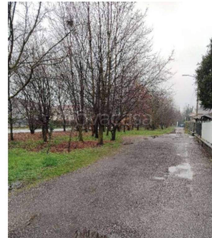 immagine annuncio 8 di 11