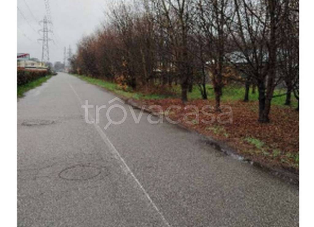 immagine annuncio 10 di 11