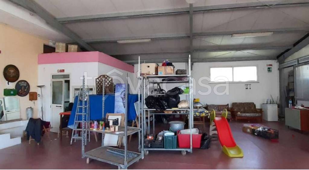 immagine annuncio 4 di 12