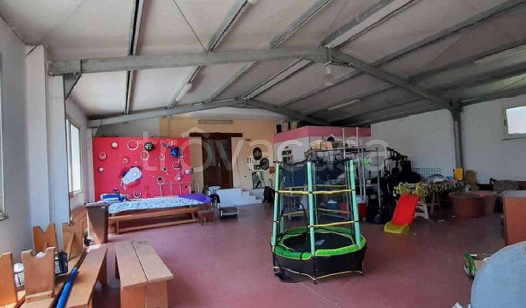 immagine annuncio 5 di 12